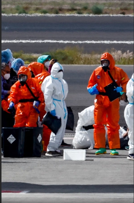 Hantavirus Panic on the High Seas